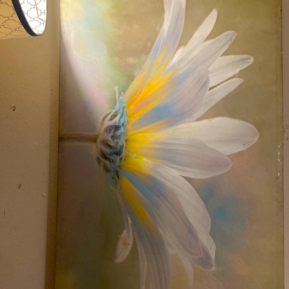 This is a flower canvas it has many meanings to it.